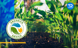 Los productos orgánicos deben contar con un sello que garantice su autenticidad