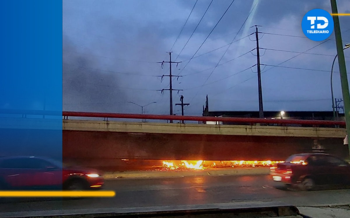 Incendio de basura / Leyda Estrada