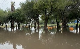 Coahuila, lluvias en coahuila, lluvias en Torreón, lluvias en saltillo , La Laguna