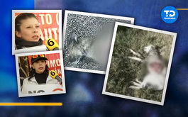 Activistas y vecinos han levantado denuncias, sin embargo, no han recibido apoyo de la alcaldía Xochimilco