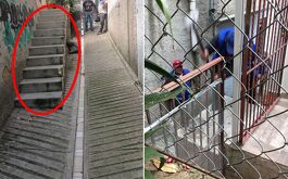 Derriban escalera de la casa de una mujer de 73 años