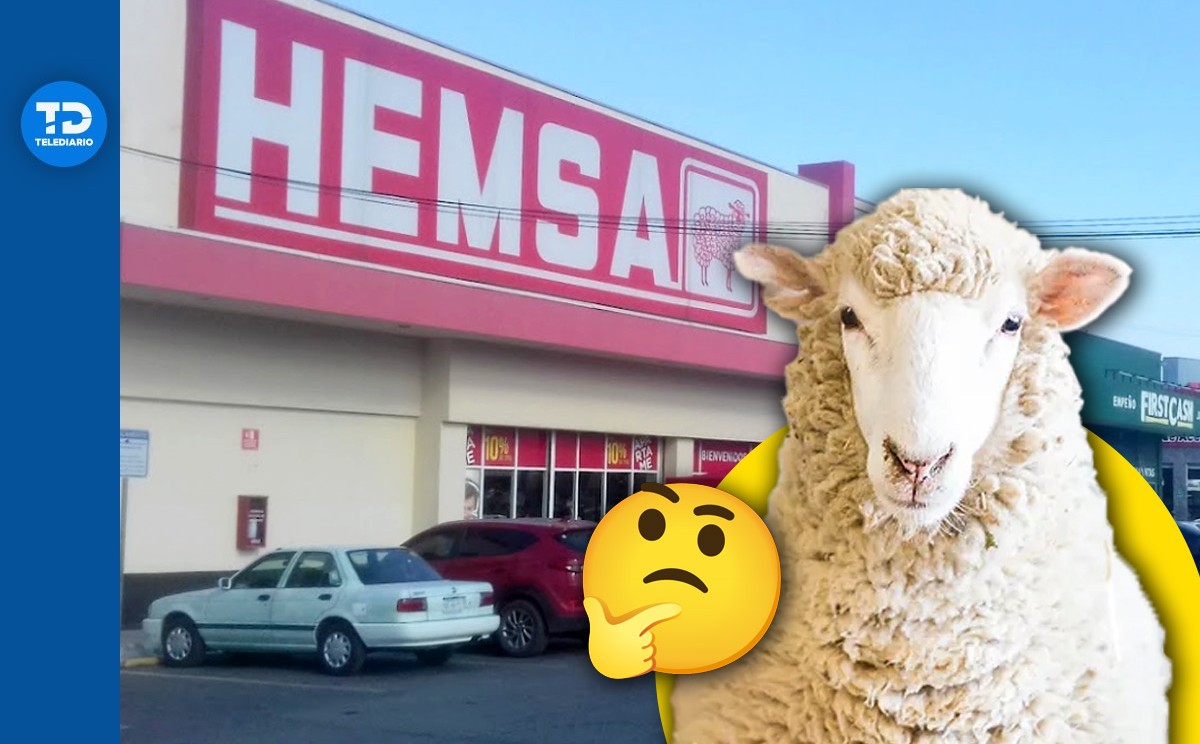 Qué significa HEMSA