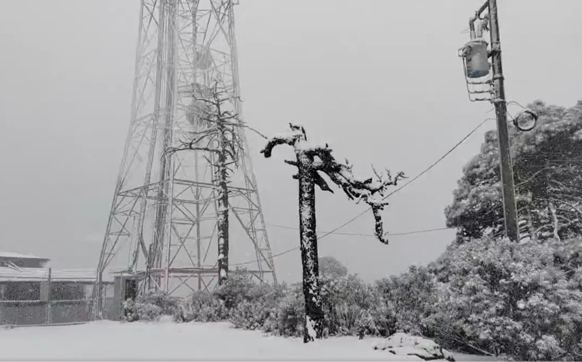 La caída de nieve tuvo lugar esta mañana / Captura.