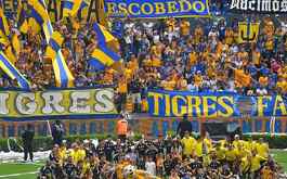 Tigres y afición en entrenamiento a puerta abierta / CORTESÍA: Archivo