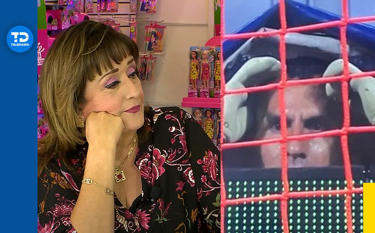 María Julia Lafuente | Especial