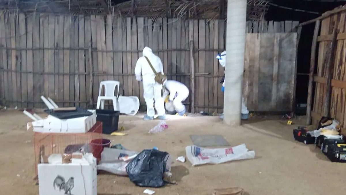 Ataque armado deja ocho muertos durante pelea de gallos en Petatlán, Guerrero