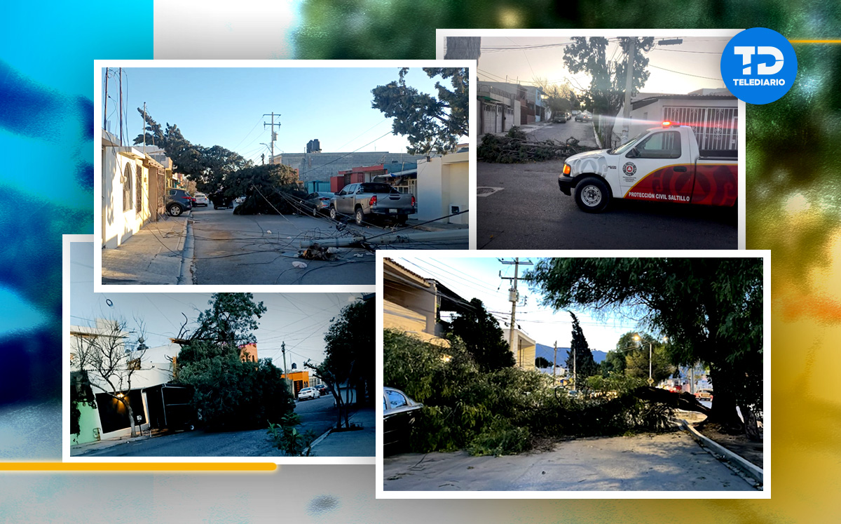 Daños materiales por fuertes ráfagas de viento en Saltillo. | Diseño Antonio Texta