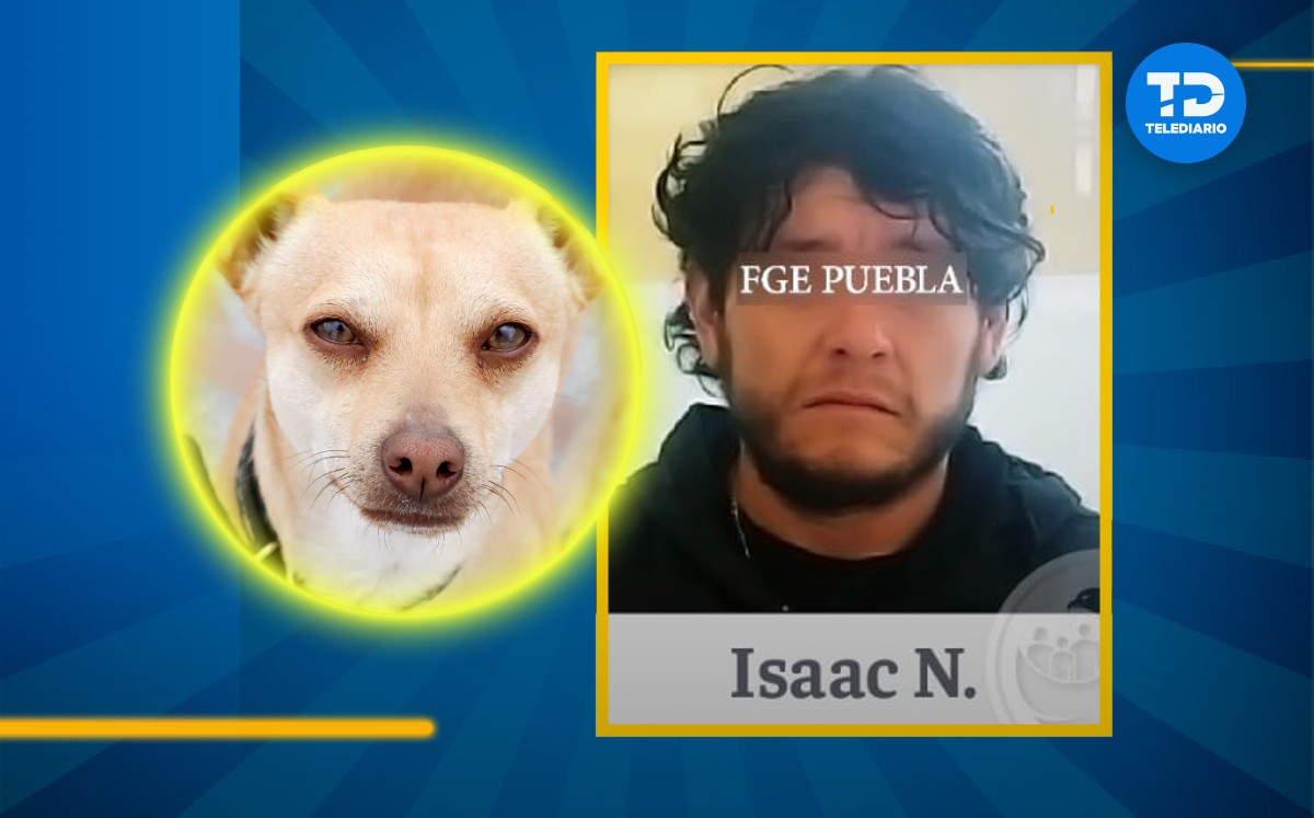 Isaac N. fue imputado por haber disparado contra un perro en Quimixtlán, Puebla. / Especial
