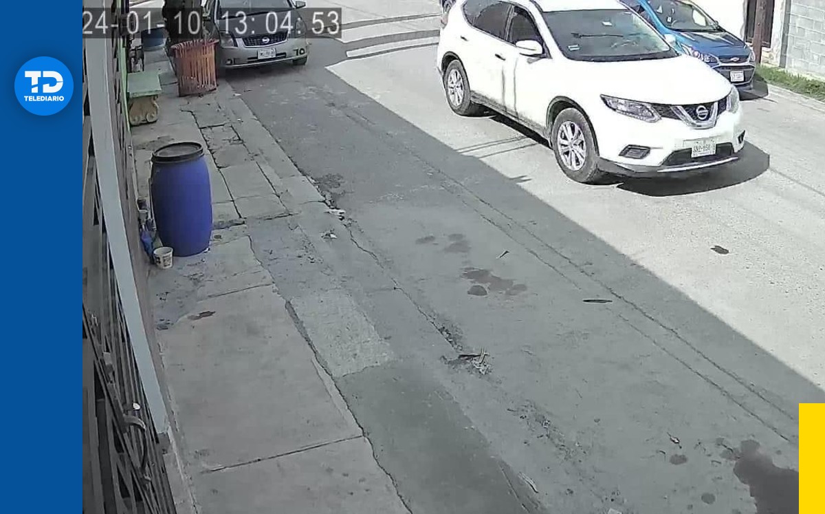 Atropello de perrita en Balcones de San Agustín en Guadalupe | Especial