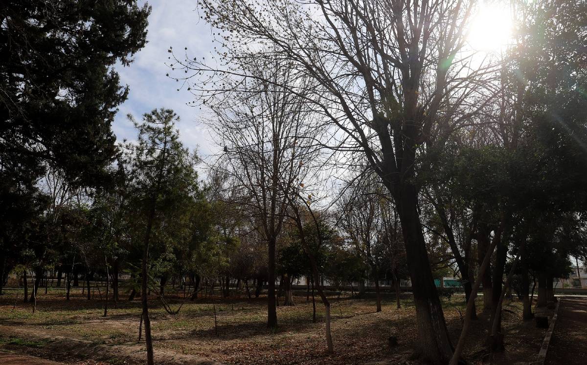 Clima en La Laguna | Rolando Riestra