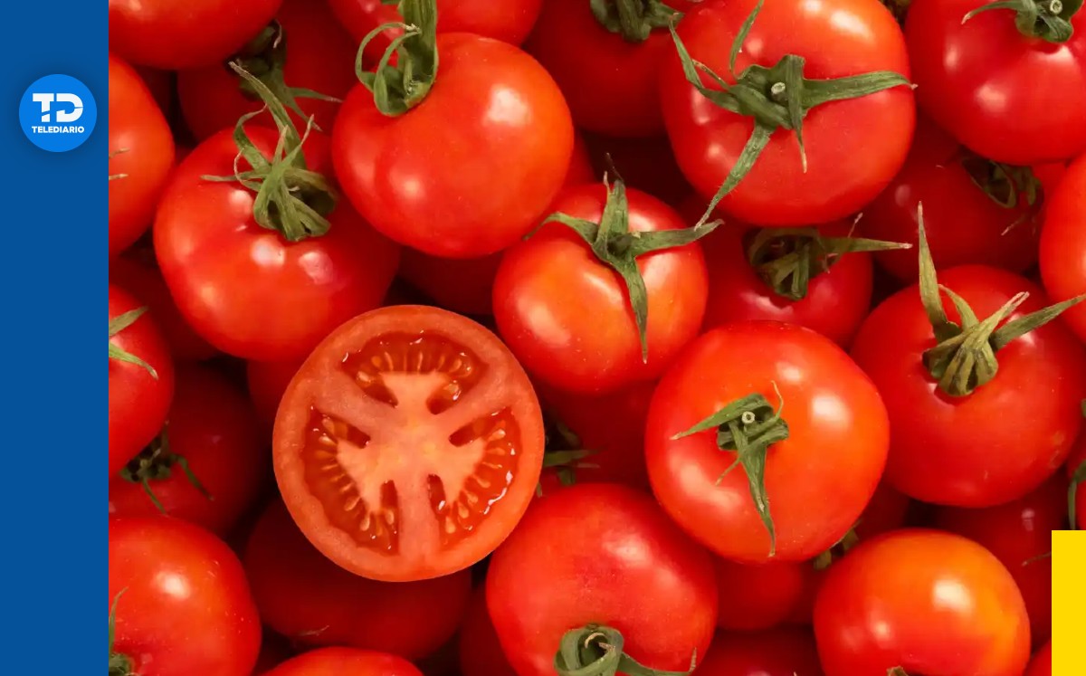 Precio del tomate en Monterrey | Especial