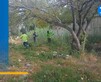 La acumulación de basura en arroyos y terrenos baldíos representa una gran problemática para los ciudadanos y el medio ambiente.