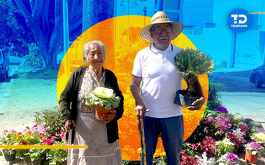 una pareja de la tercera edad vendiendo plantas