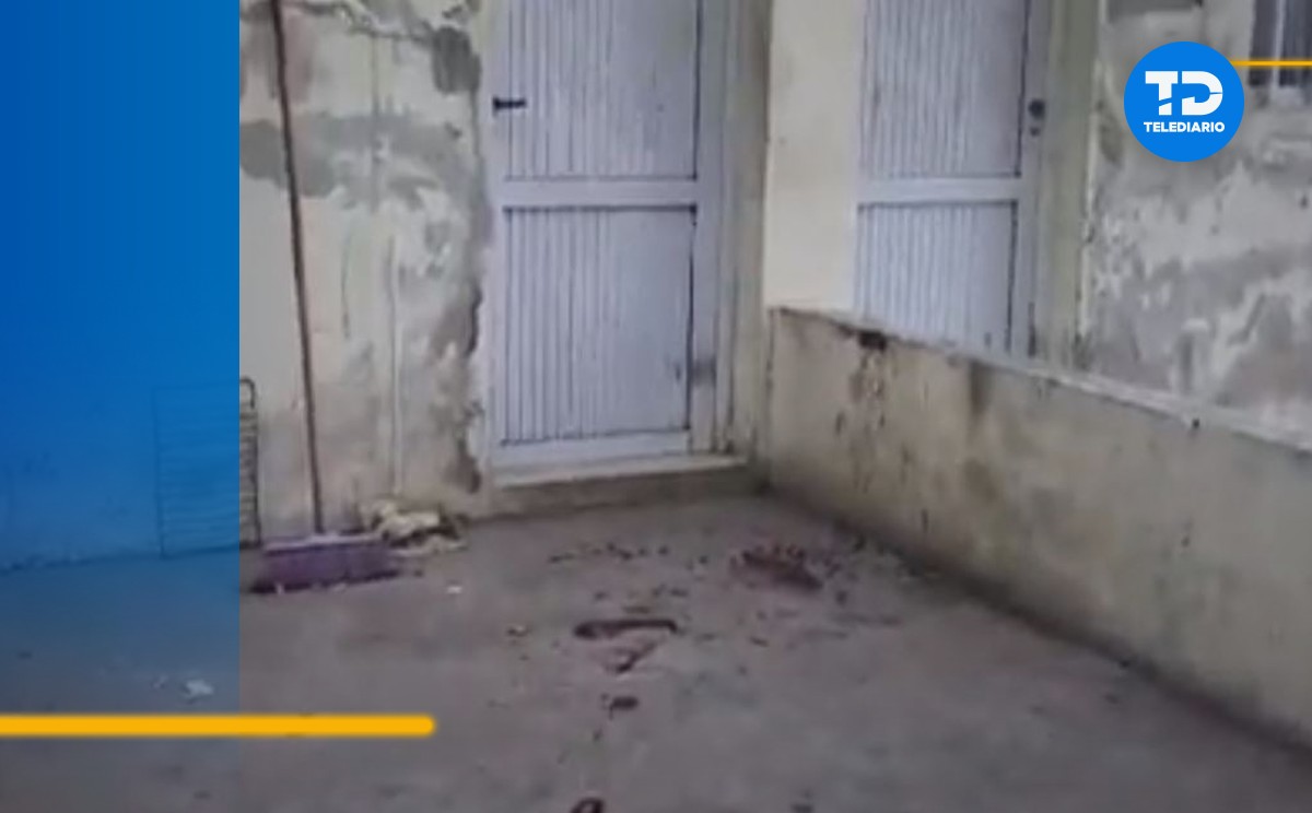 Hombre muere desangrado tras intentar robar departamento