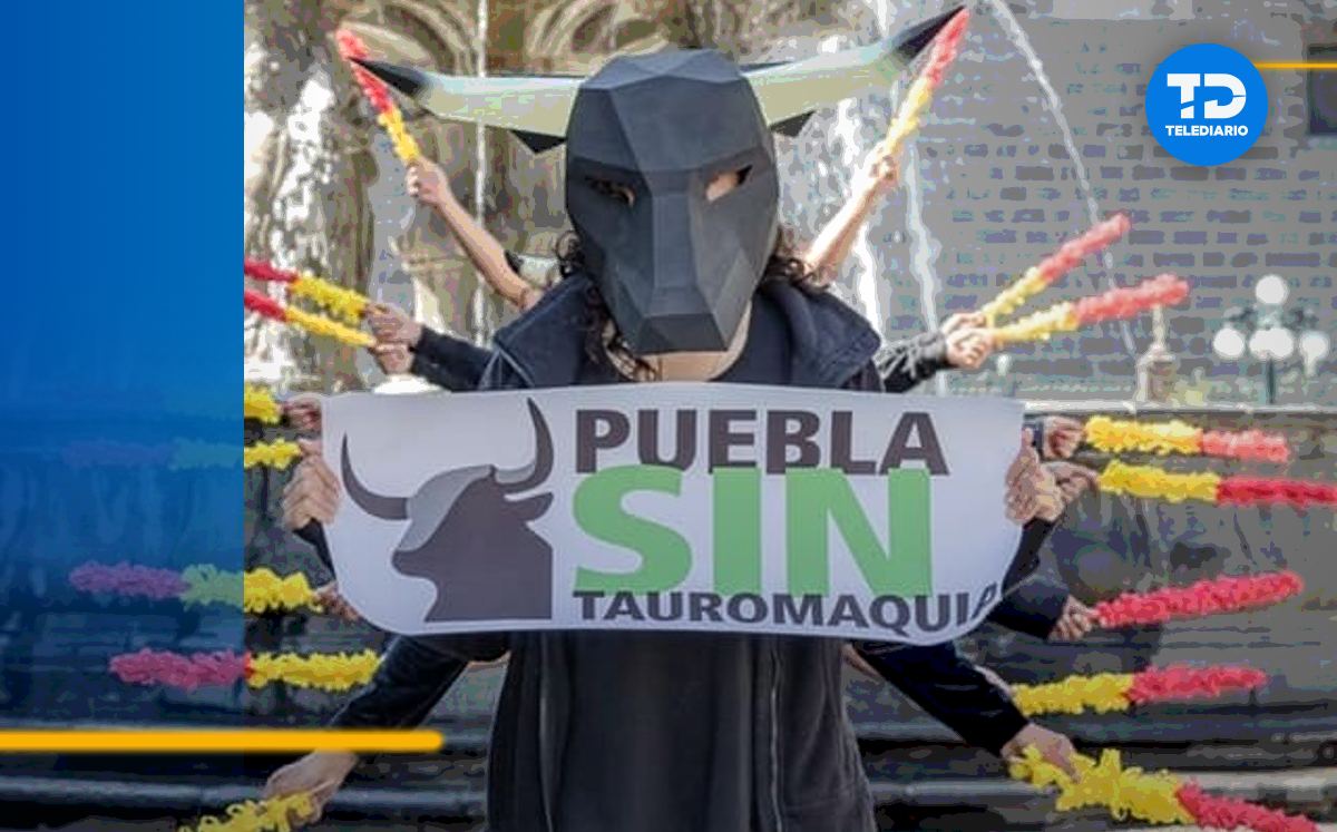 El Movimiento Animalista de Puebla consiguió que en Puebla y Zacatlán se prohíban las corridas de toros | Especial