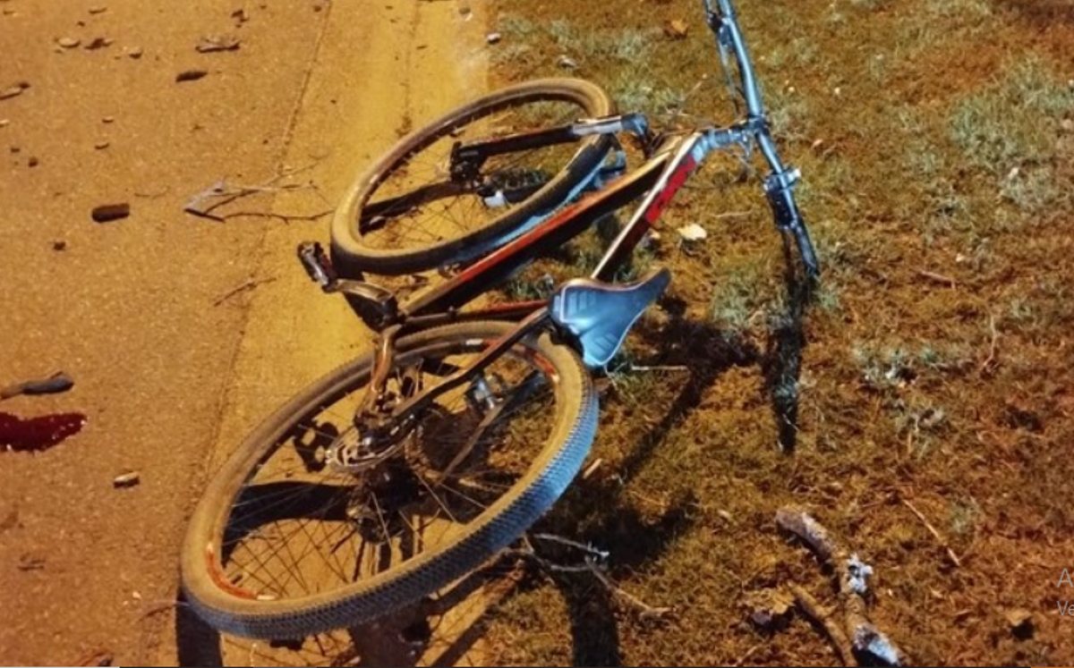 Bicicleta en la que iba Yanina, mujer que murió tras caerle una rama / Especial