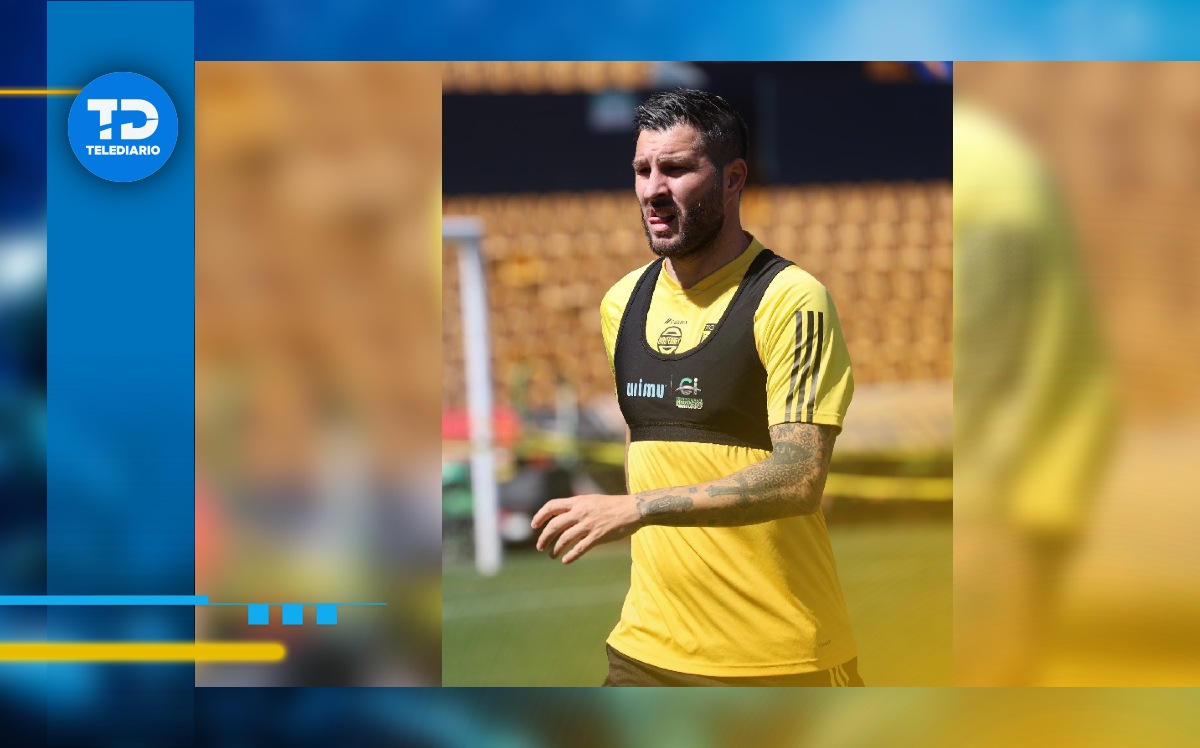 Conoce la actualidad de Gignac tras su ausencia ante Puebla en Liga MX / Tigres Oficial