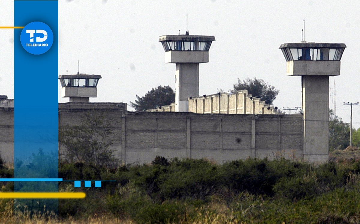 La seguridad en la penal de Jalisco debe reforzarse / TELEDIARIO