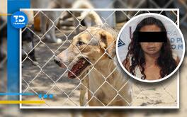 imagen de un perro y una mujer detenida