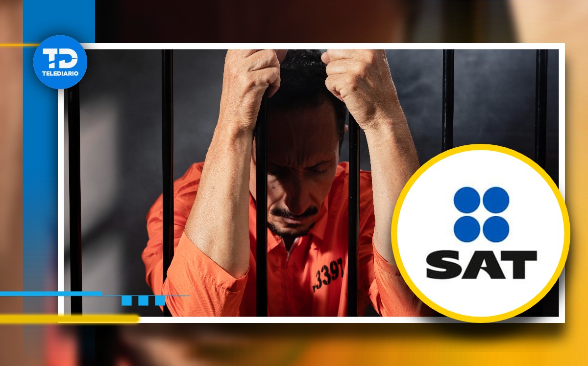 Conoce las consecuencias de no realizar la declaración anual en México / Freepik / SAT