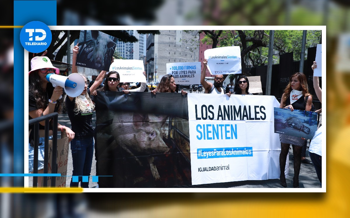 Marchas y manifestaciones HOY domingo 28 de abril en CdMx / Juan Carlos Bautista