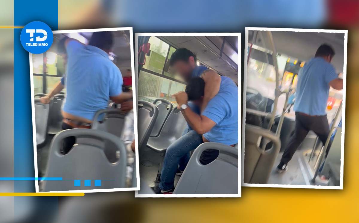 La trifulca ocurrió a bordo de una unidad de la Ruta 201. | Especial