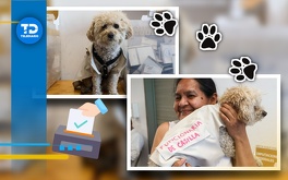 Esta es la historia de Daisy, la perrita poblana que se volvió viral por ser funcionaria de casilla.