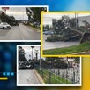 Las fuertes rachas de viento provocaron la caída de árboles en diversos sectores de la ciudad.