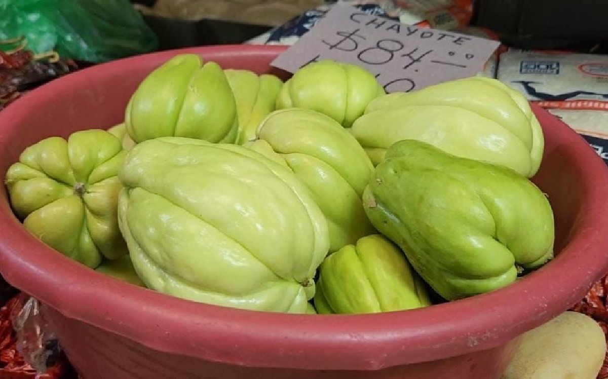 Precio de chayotes se eleva en Guadalajara / Especial