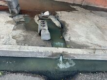 Fuga de aguas negras en colonia Progreso