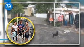 Perrito alertó a familia sobre deslave en cerro del Topo Chico en Monterrey