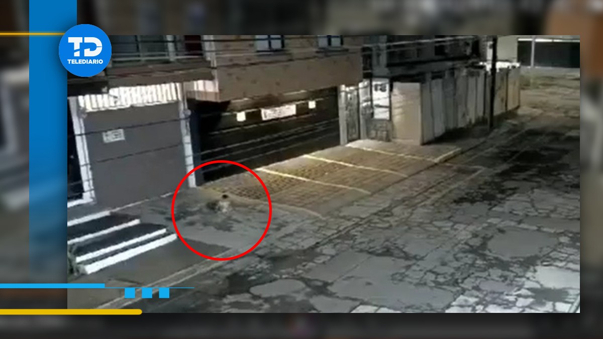 Bebé cae de segundo piso en Puebla / Especial