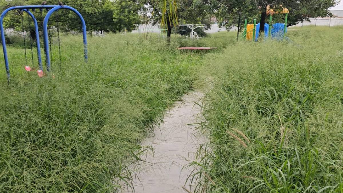 Por falta de mantenimiento vecinos reportan parques en mal estado en Monterrey | Fabricio Gallegos