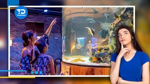 Sealand en Monterrey anunció la preventa de boletos para entrar al acuario.