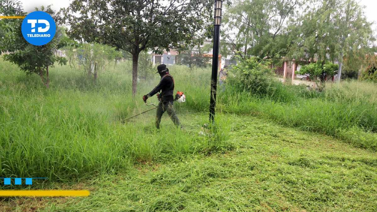 Cuadrillas implementan plan emergente para limpiar áreas verdes en San Nicolás | Especial