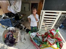 Los bomberos salvaron a un gatito del incendio