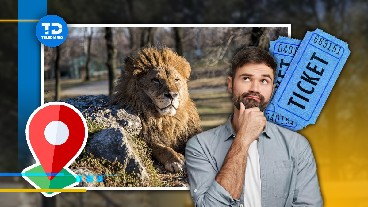 Un zoológico destaca por su gran variedad de especies de animales salvajes y la información de su cuidado.