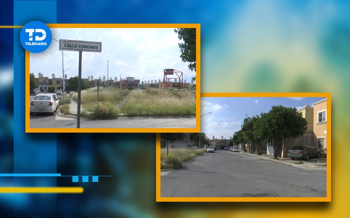 Los adolescentes que portaban cuchillo y machetes causaron disturbios en la colonia Nuevo Teresitas, en Saltillo.