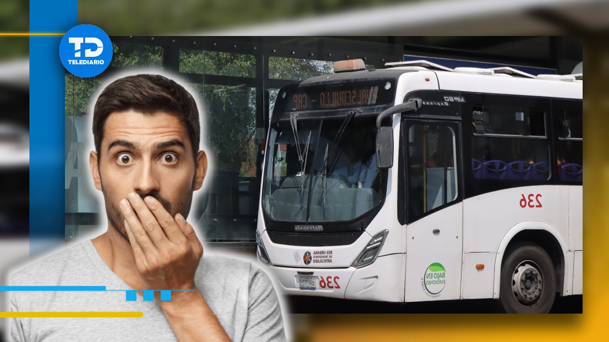 Conoce cuál será el cambio que aplicará la Línea 3 de RUTA en Puebla / Especial