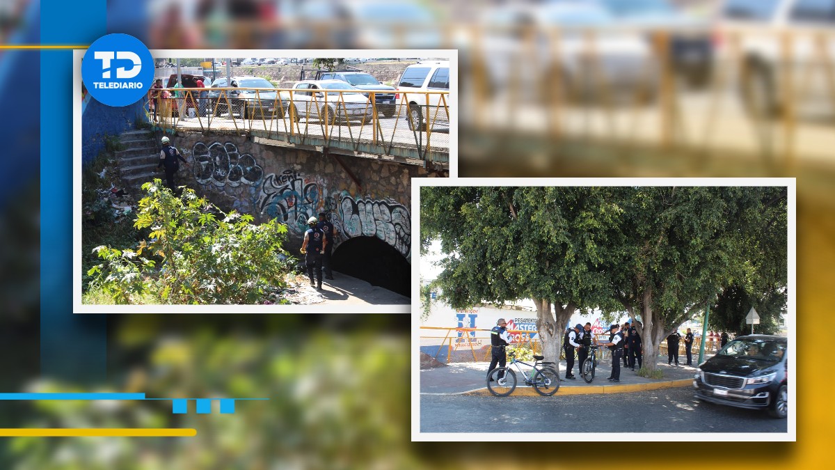 Teresa, cayó a una pendiente de aproximadamente 4 metros de profundidad de la parte baja del Malecón del Río de los Gómez. Foto: Especial.