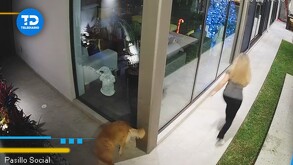 Pensando que era su marido, abrió el portón y entraron cuatro hombres