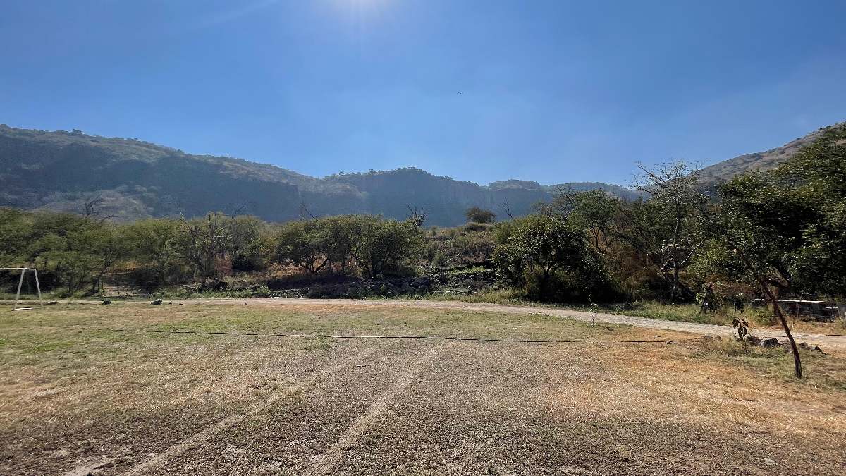 Sitio en donde fue localizado el cráneo / Especial