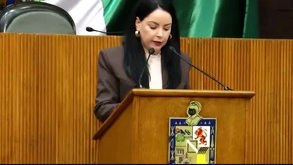 La diputada Velázquez propuso incluir fotos de los padres y del menor en el acta de nacimiento por casos de sustracción en Nuevo León.