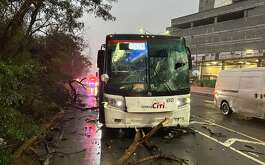 El conductor de un transporte de personal quedó herido luego de que una rama de árbol perforara el parabrisas de la unidad en Monterrey.