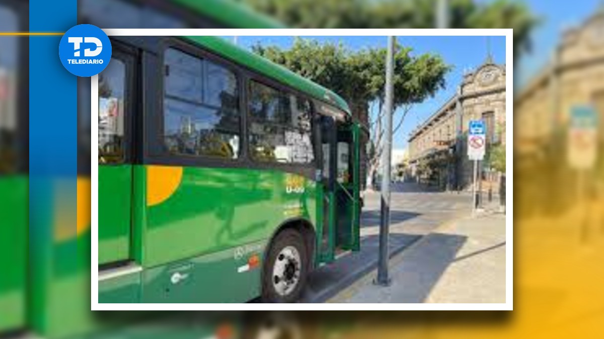 Se recomienda hacer con tiempo los traslados, pues el transporte tardará más de lo habitual. | Telediario Especial