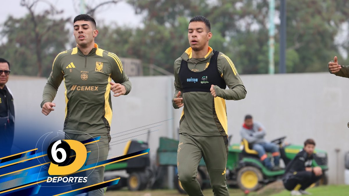 Tigres fue eliminado el torneo pasado Apertura 2024 en cuartos de final / Foto: Club Tigres