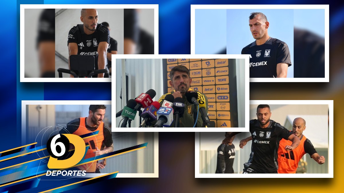 Jugadores históricos en Tigres que podrían salir en 2025 / @TigresOficial y Erick González
