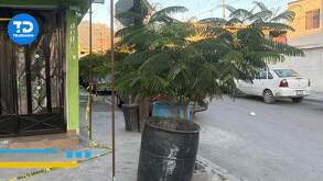 Qué-pasó en la colonia Industrial en Monterrey donde niño murió