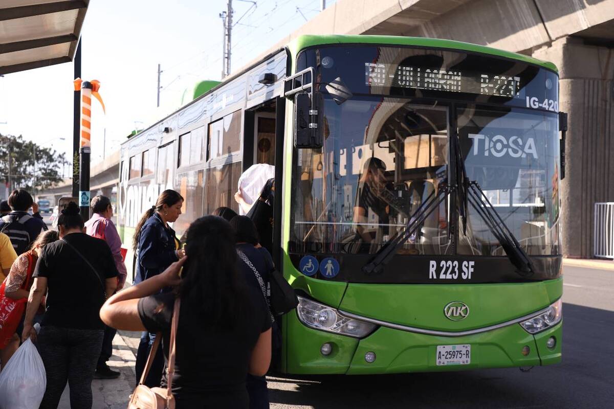 Telediario tuvo acceso a la “Encuesta de Percepción del Servicio de Transporte Público Urbano / Luis Guerra