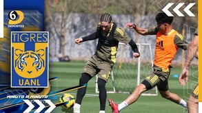 Los Tigres de la UNAL viven su práctica rumbo al duelo ante Santos Laguna